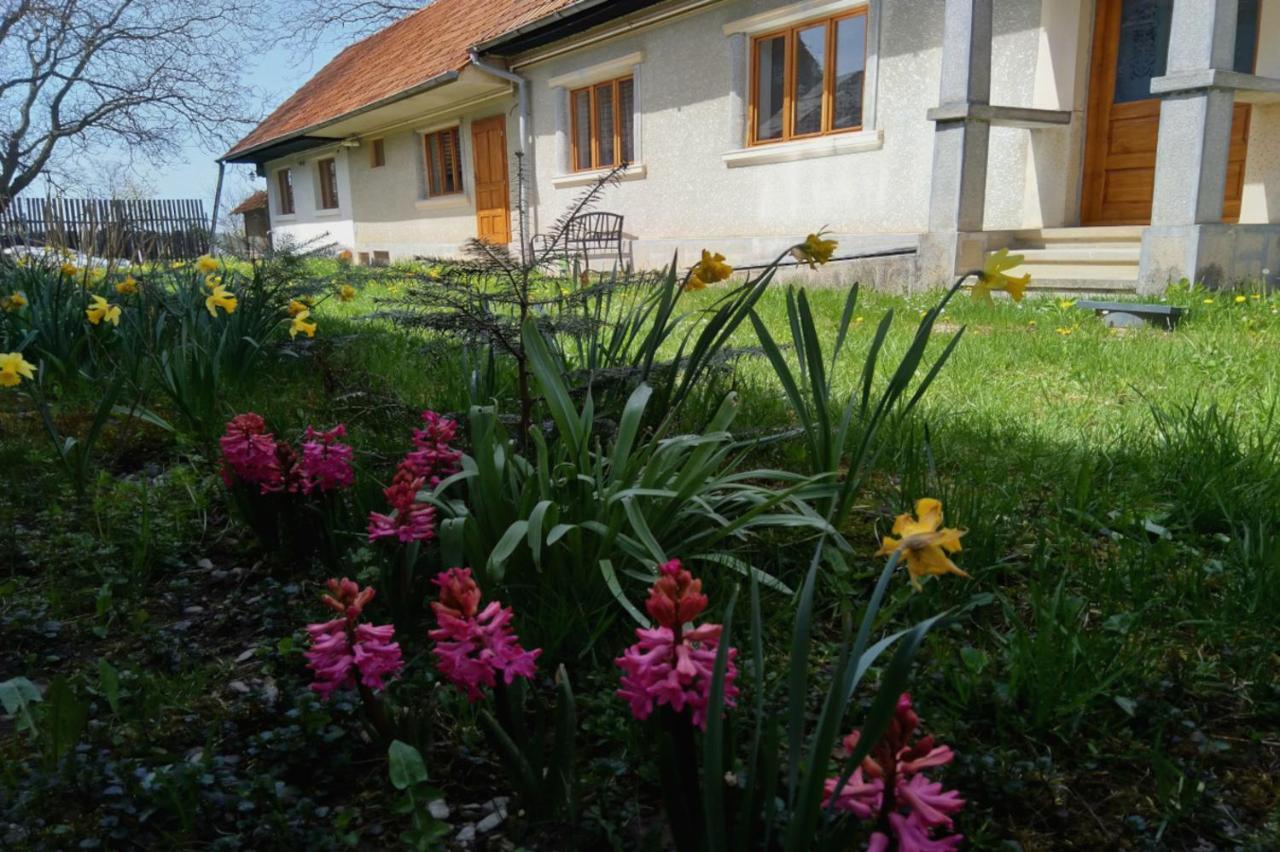 Galeria Turismului Montan Guest House Cartisoara Exterior photo