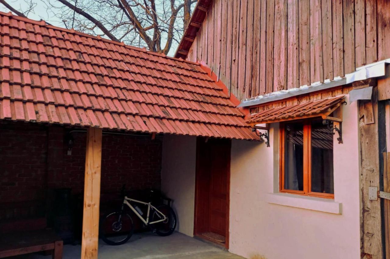 Galeria Turismului Montan Guest House Cartisoara Exterior photo